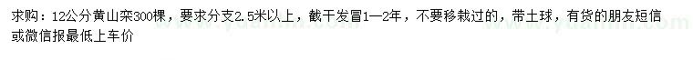 求購12公分黃山欒樹