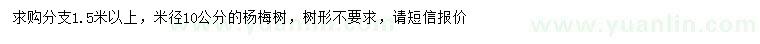 求購(gòu)米徑10公分楊梅樹(shù)