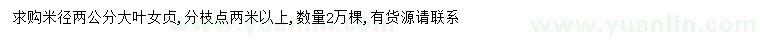 求購(gòu)米徑2公分大葉女貞