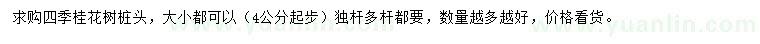 求購4公分以上四季桂花樁頭
