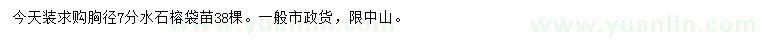 求購胸徑7公分水石榕