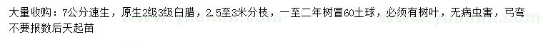求購7公分速生白蠟、原生白蠟