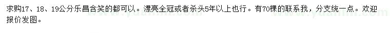 求購17、18、19公分樂昌含笑