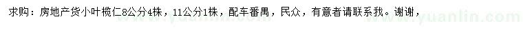 求購8、11公分小葉欖仁
