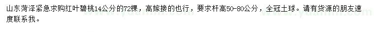求購(gòu)14公分紅葉碧桃