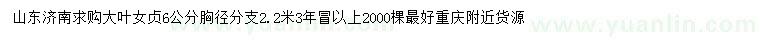 求購胸徑6公分大葉女貞