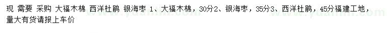 求購大腹木棉、西洋杜鵑、銀海棗