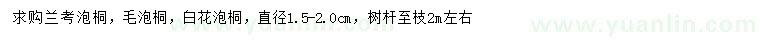 求購蘭考泡桐、毛泡桐、白花泡桐