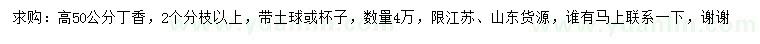 求購高50公分丁香