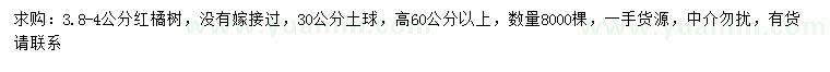 求購3.8-4公分紅橘樹
