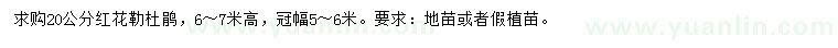 求購20公分紅花勒杜鵑