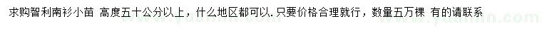 求購高50公分以上智利南洋杉