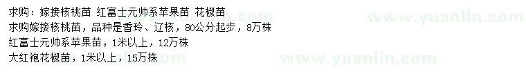 求購嫁接核桃苗、紅富士元帥系蘋果苗、大紅袍花椒苗
