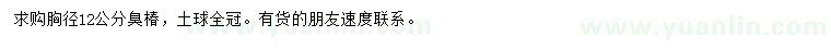 求購胸徑12公分臭椿