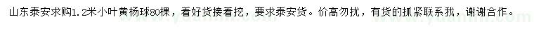 求購(gòu)1.2米小葉黃楊球