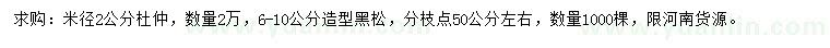 求購(gòu)米徑2公分杜仲、6-10公分造型黑松