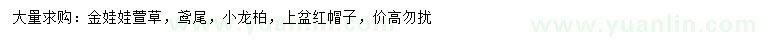 求購(gòu)金娃娃萱草、鳶尾、小龍柏等