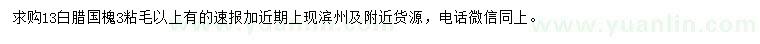 求購(gòu)13公分白蠟、國(guó)槐