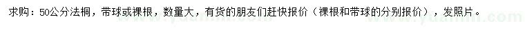求購50公分法桐