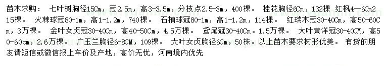 求購七葉樹(shù)、桂花、紅楓等