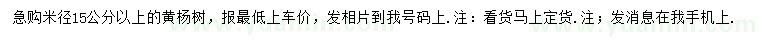 求購米徑15公分以上黃楊樹
