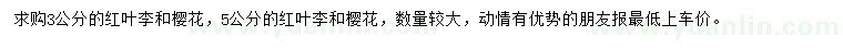 求購3、5公分紅葉李、櫻花