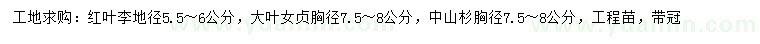 求購紅葉李、大葉女貞、中山杉