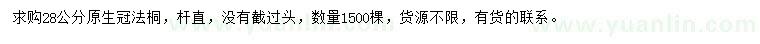求購28公分原生冠法桐