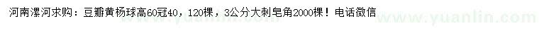 求購高60公分豆瓣黃楊球、3公分大刺皂角