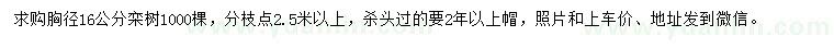 求購胸徑16公分欒樹