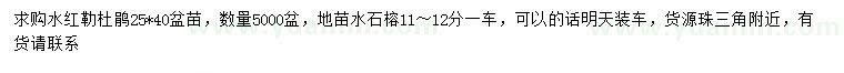 求購(gòu)水紅勒杜鵑、11-12公分水石榕