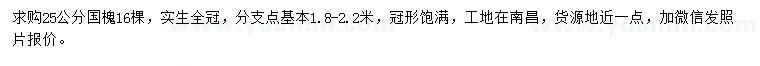 求購25公分國槐