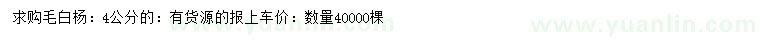 求購4公分毛白楊