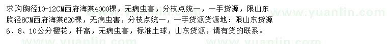求購胸徑8、10-12公分西府海棠、6、8、10公分櫻花