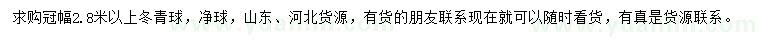 求購冠幅2.8米以上冬青球