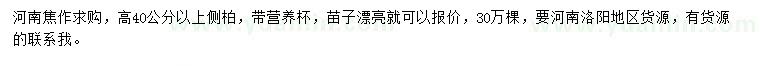 求購(gòu)高40公分以上側(cè)柏