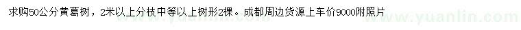 求購50公分黃葛樹