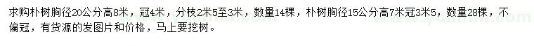 求購(gòu)胸徑15、20公分樸樹