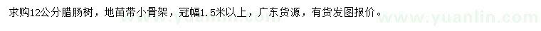 求購12公分臘腸樹