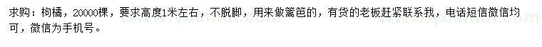 求購高1米左右枸橘