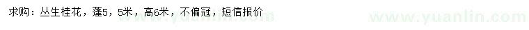求購冠幅5.5米叢生桂花