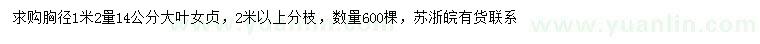 求購1.2米量14公分大葉女貞