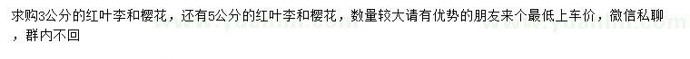 求購(gòu)3、5公分紅葉李、櫻花