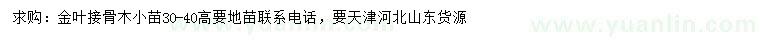 求購(gòu)高30-40公分金葉接骨木小苗