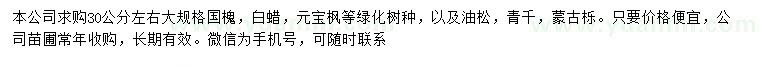 求購國槐、白蠟、元寶楓等