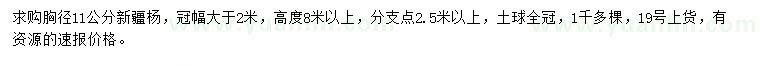 求購(gòu)胸徑11公分新疆楊