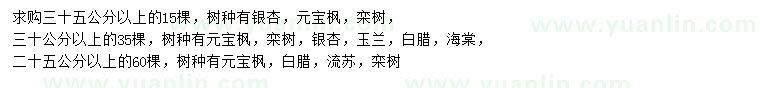 求購(gòu)銀杏、元寶楓、欒樹等