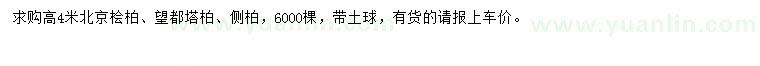 求購北京檜柏、望都塔柏、側(cè)柏