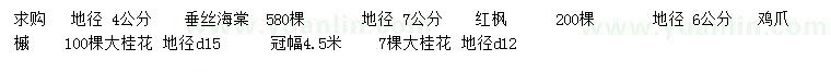 求購垂絲海棠、紅楓、雞爪槭等