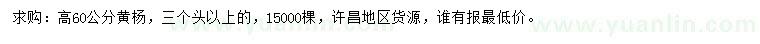 求購高60公分黃楊